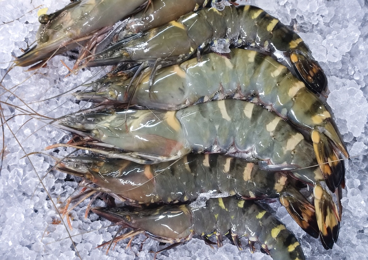 Prawns Large